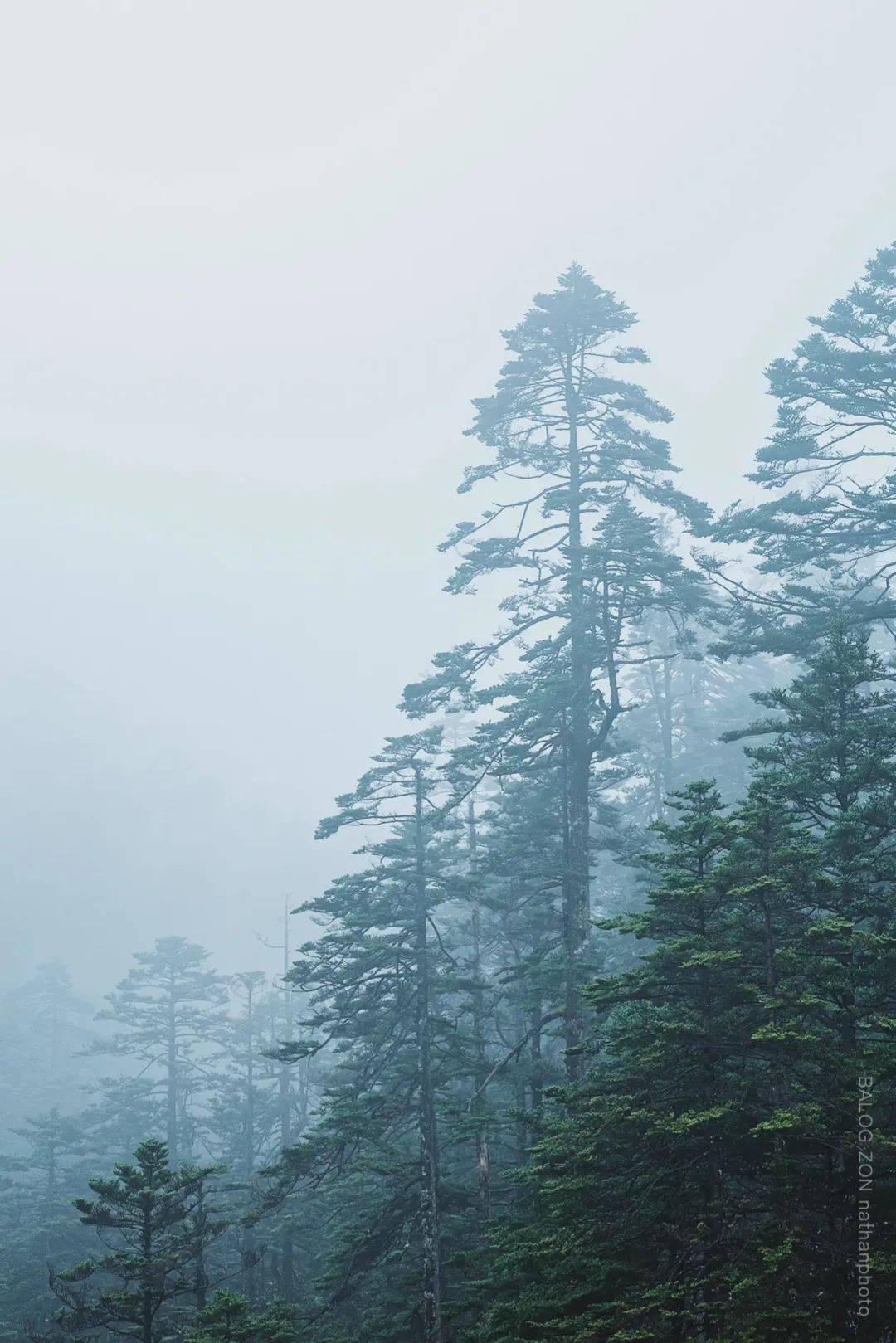 小红帽找不同