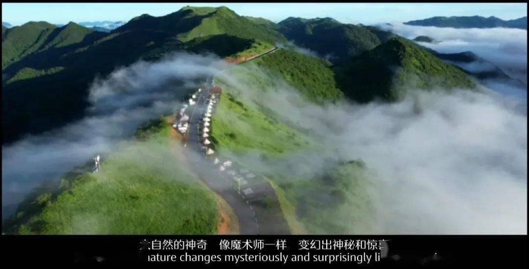 异星探险家