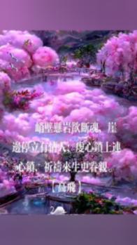 常军- 家庭关系心理学视频课